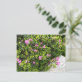 Olieverfdoek van alpine roos rhododendron briefkaart (Staand voorkant)