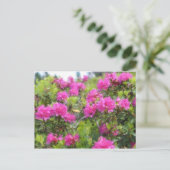 Olieverfschilderij van alpine roos rhododendon briefkaart (Staand voorkant)