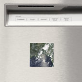 Olieverspreiding noordoost magneet (Insitu (Vaatwasser))