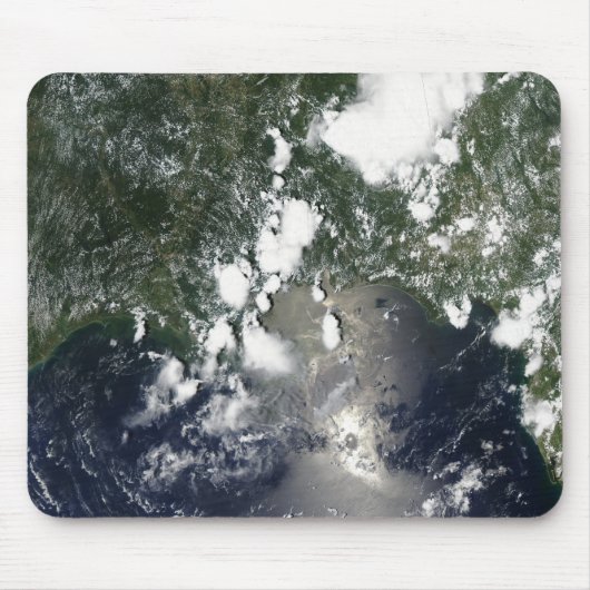 Olieverspreiding noordoost muismat (Voorkant)