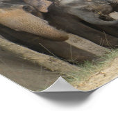 olifant4 poster (Hoek)