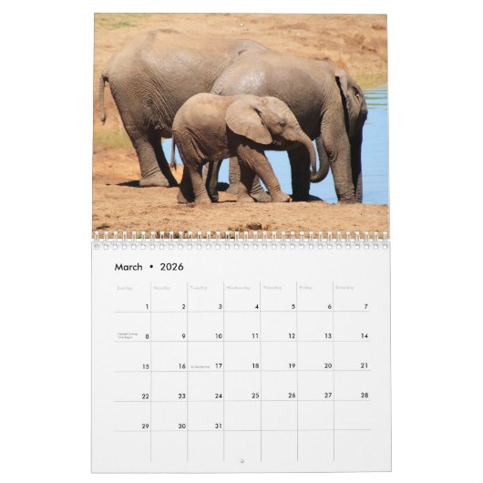 Olifant 2025 kalender (Mar 2026)