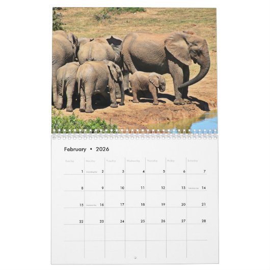 Olifant 2025 kalender (Feb 2026)