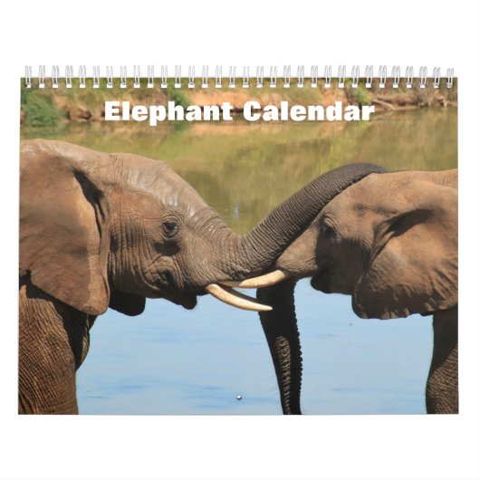 Olifant 2025 kalender (Hoes)