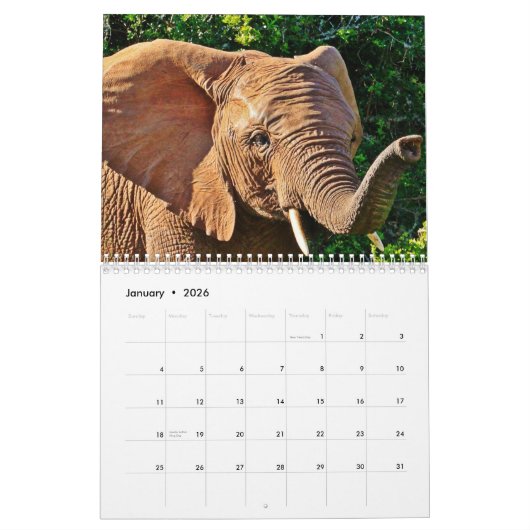 Olifant 2025 kalender (Jan 2026)