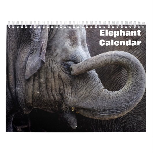 Olifant 2027 kalender (Hoes)