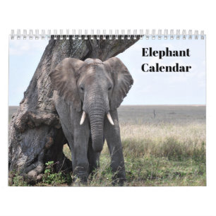 Olifant 2027 kalender