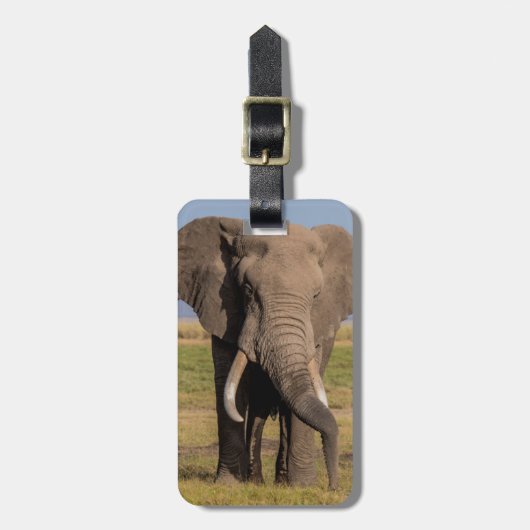 Olifant aan het zoeken bagagelabel (Voorkant verticaal)