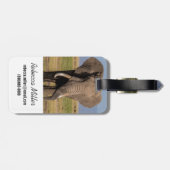 Olifant aan het zoeken bagagelabel (Achterkant horizontaal)