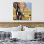 Olifant aan het zoeken canvas afdruk (Insitu (Slaapkamer))