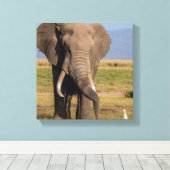 Olifant aan het zoeken canvas afdruk (Insitu (Houten vloer))