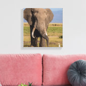Olifant aan het zoeken canvas afdruk (Insitu (Woonkamer))
