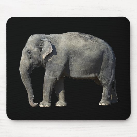 Olifant aanpassen muismat (Voorkant)