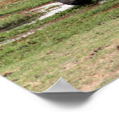 olifant amboseli poster (Hoek)