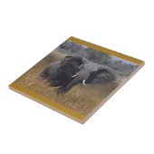 Olifant Aware, Kenia. Keramische tegel Tegeltje (Zijkant)