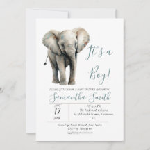Olifant Baby shower het is een jongensthema