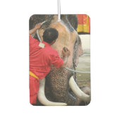 Olifant badtijd ... Ayutthaya, Thailand Luchtverfrisser (Voorkant)