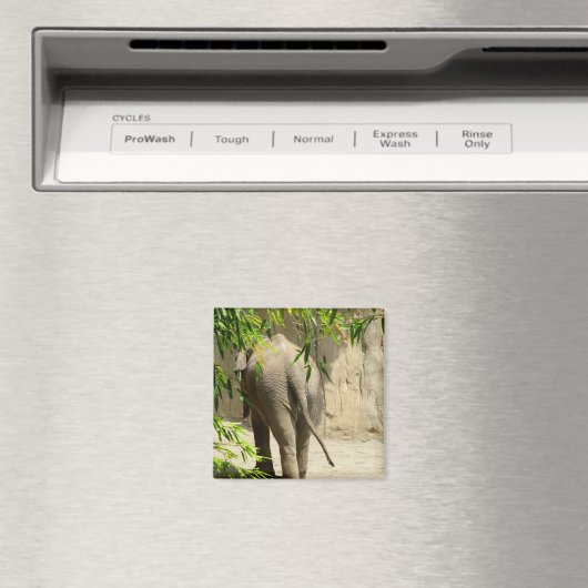 Olifant Booty Magnet (Insitu (Vaatwasser))