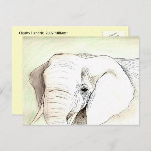 Olifant Briefkaart (Voorkant / Achterkant)