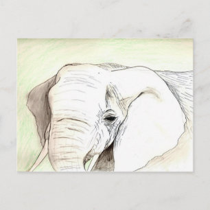 Olifant Briefkaart