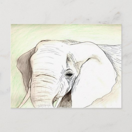 Olifant Briefkaart (Voorkant)