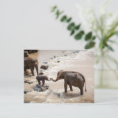 Olifant Briefkaart (Staand voorkant)