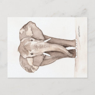 olifant briefkaart