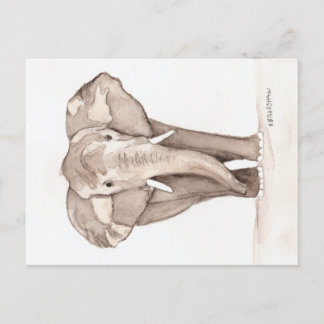 olifant briefkaart