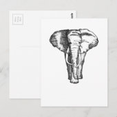 olifant briefkaart (Voorkant / Achterkant)