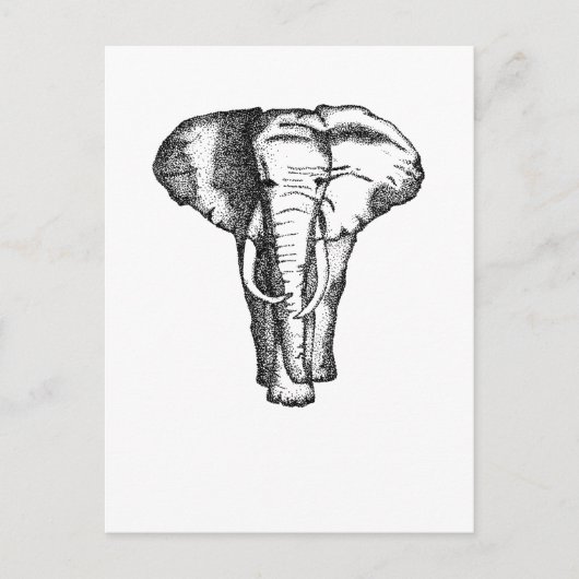 olifant briefkaart (Voorkant)