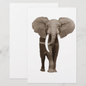Olifant Briefpapier (Voorkant / Achterkant)