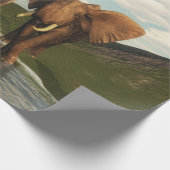 Olifant Cadeaupapier (Hoek)
