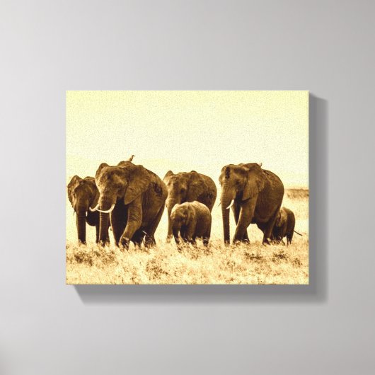  olifant canvas afdruk (Voorkant)