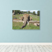 Olifant Close-up Canvas Afdruk (Insitu (Houten vloer))