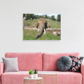 Olifant Close-up Canvas Afdruk (Insitu (Woonkamer))