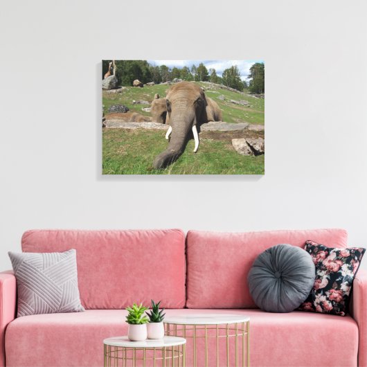 Olifant Close-up Canvas Afdruk (Insitu (Woonkamer))