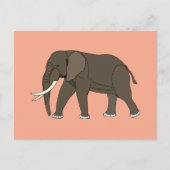 Olifant Dier Briefkaart (Voorkant)