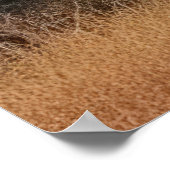 Olifant Dier Natuur Majestic Wild Poster (Hoek)