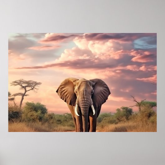 Olifant Dier Natuur Majestic Wild Poster (Voorkant)