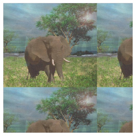 Olifant Een Dag In Afrika, Stof (Close Up)
