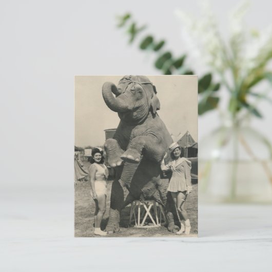 olifant en 2 meisjes circus briefkaart (Staand voorkant)