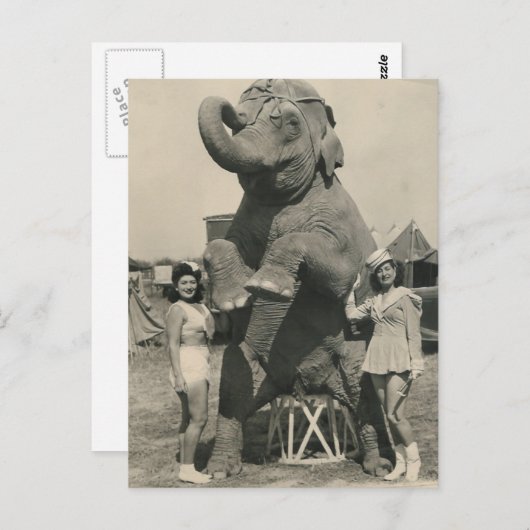 olifant en 2 meisjes circus briefkaart (Voorkant / Achterkant)