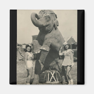 olifant en 2 meisjes circus magnet