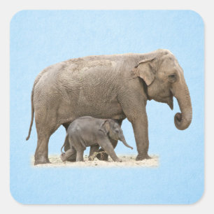 Olifant en baby vierkante sticker