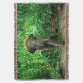 Olifant en gras deken (Voorkant Verticaal)