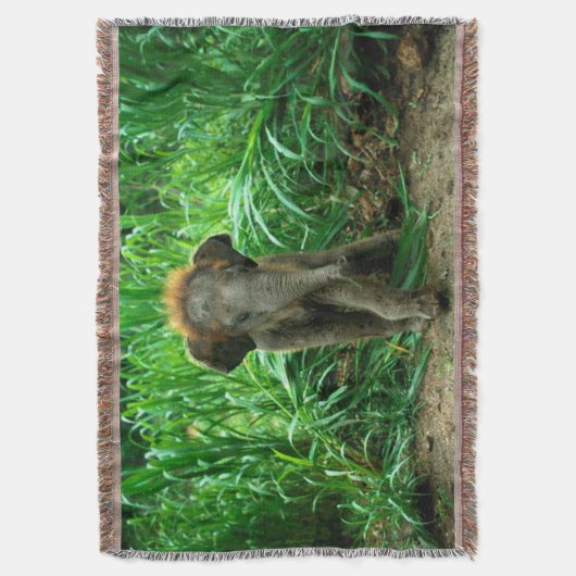 Olifant en gras deken (Voorkant Verticaal)