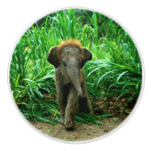 Olifant en gras keramische knop (Voorkant)