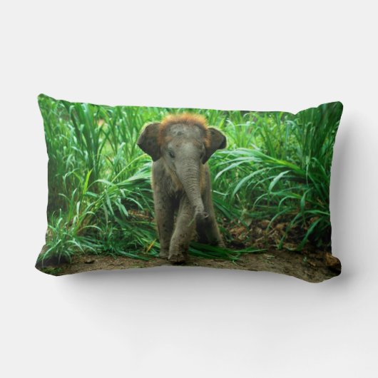 Olifant en gras kussen (Achterkant)