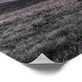 olifant en jongen boeddah surrealistische poster v (Hoek)