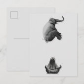 Olifant en Mediterende Luiaard Harmonie Briefkaart (Voorkant / Achterkant)
